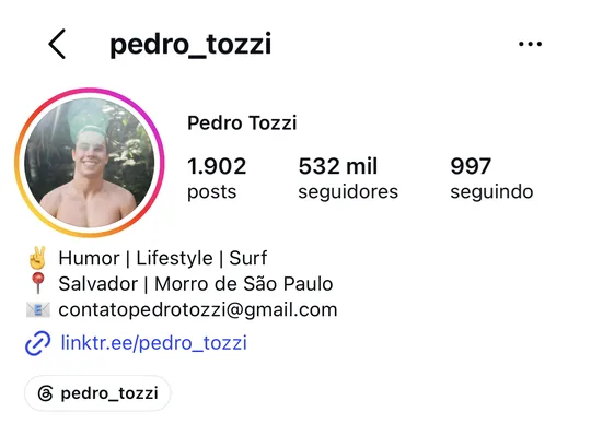 Perfil do Instagram @pedro_tozzi, com 532 mil seguidores